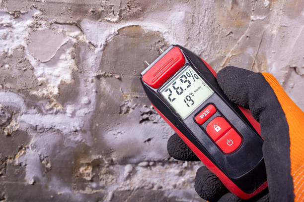 Best Certified Mold Removal  in Weidman, MI