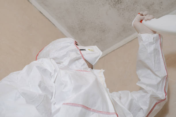 Best Mold Testing  in Weidman, MI